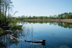 Lac de Wigry 