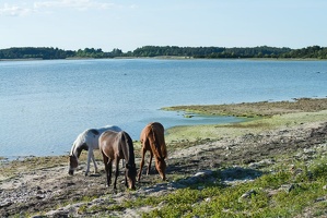 hiiumaa-21