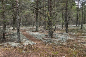 laanemaa-23