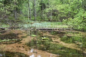 saaremaa-15