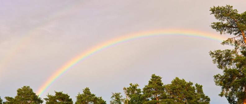 Arc en ciel