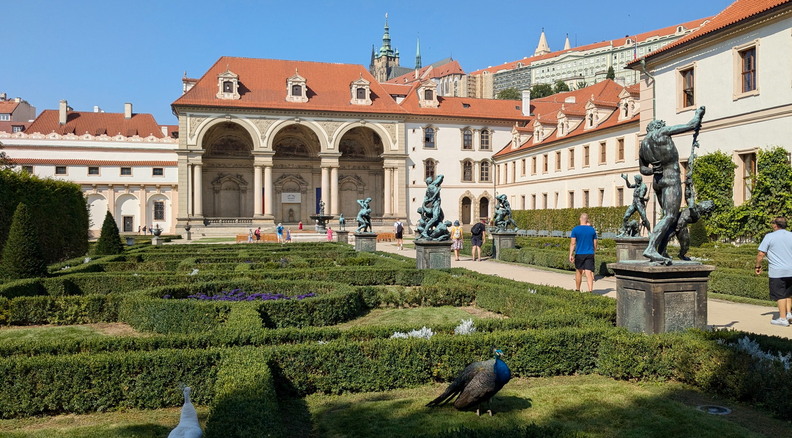 Le s&eacute;nat de Prague