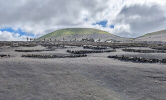 Vignoble de Lanzarote