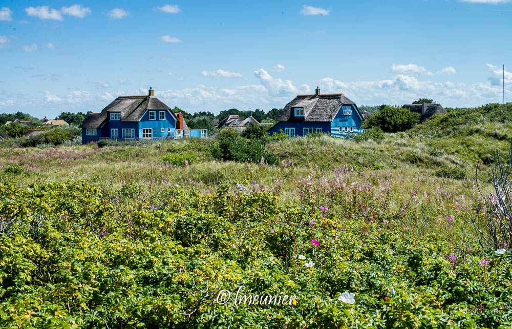 Île d'Ameland