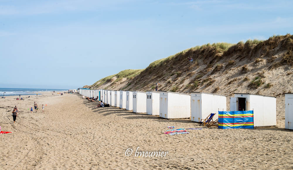 texel-6