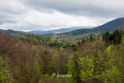 Parc des Bieszczady 