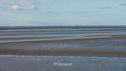 Ameland 