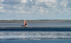 Ameland 