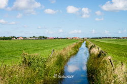 Ameland 