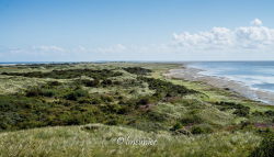 Ameland 