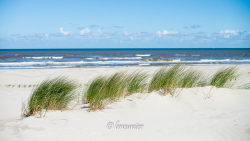 Ameland 