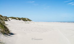 Ameland 