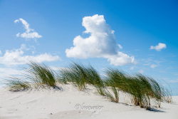 Ameland 