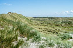 Ameland 