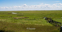 Ameland 