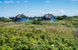 Ameland 