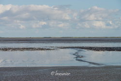 Ameland 