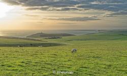 Falaises de Beachy Head 
