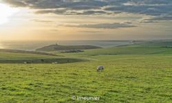 Falaises de Beachy Head 