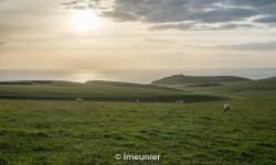 Falaises de Beachy Head 