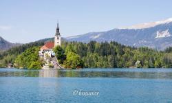 Lac de Bled 