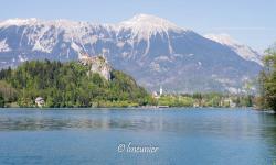 Lac de Bled 