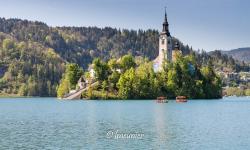 Lac de Bled 