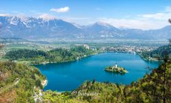 Lac de Bled 