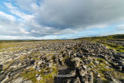 Paysage du Burren 