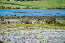 Paysage du Burren 