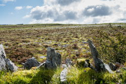 Paysage du Burren 