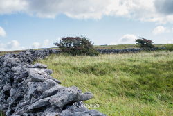 Paysage du Burren 