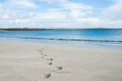 Plage du Connemara 