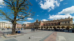 Le printemps de Cracovie