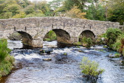 Parc du Dartmoor 