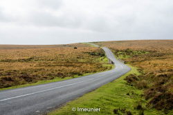 Parc du Dartmoor 