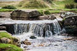 Parc du Dartmoor 