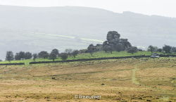 Parc du Dartmoor 