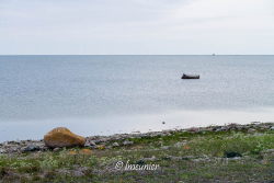 Ile de Saaremaa 