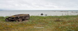 L'îles de Saaremaa