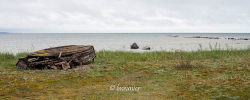 Ile de Saaremaa 