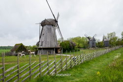 Ile de Saaremaa 