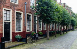 Haarlem 