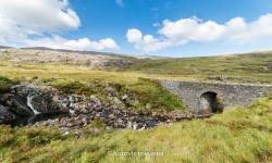 Healy Pass 