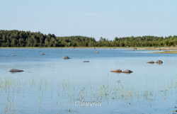 Ile de Hiiumaa 