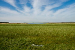 Ile de Hiiumaa 