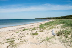 Ile de Hiiumaa 