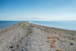 Ile de Hiiumaa 