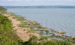 Lac Balaton 