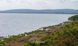 Lac Balaton 